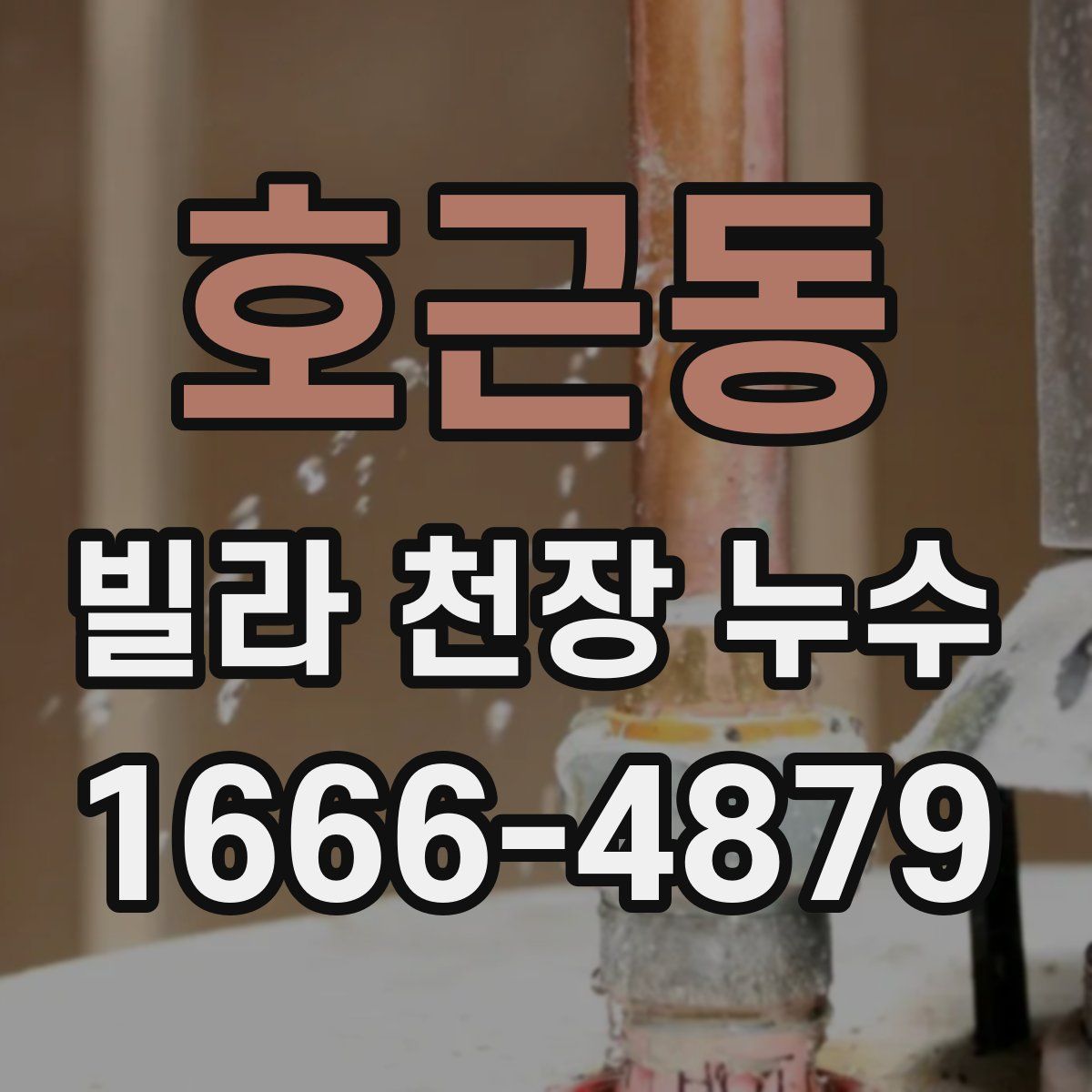 호근동 빌라 천장 누수