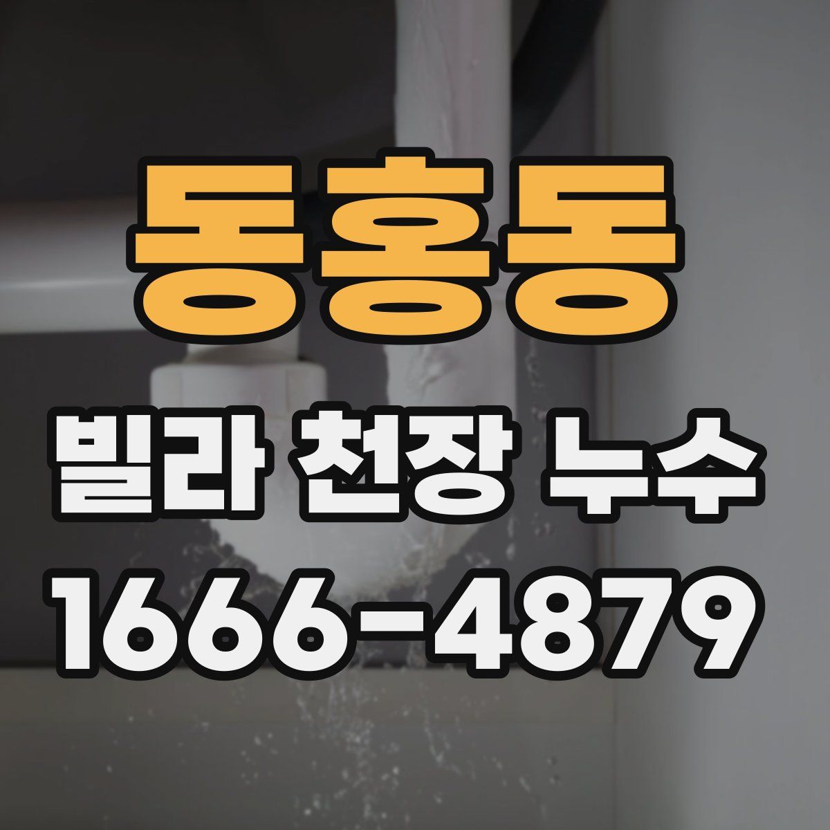 동홍동 빌라 천장 누수