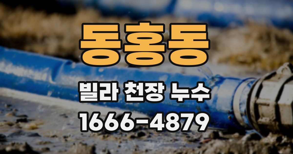 동홍동 빌라 천장 누수