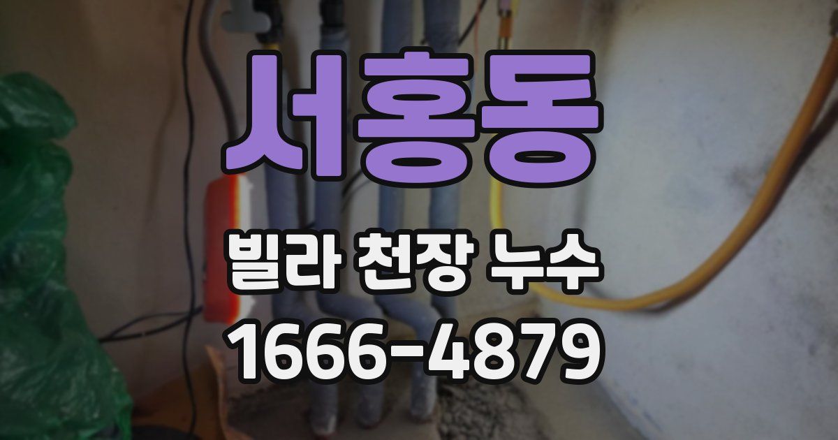 서홍동 빌라 천장 누수