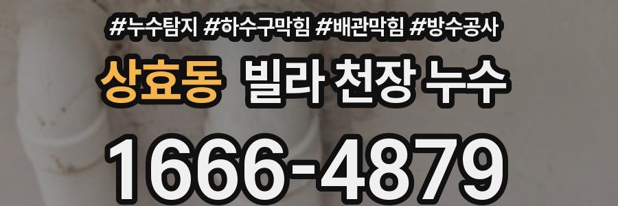 상효동 빌라 천장 누수