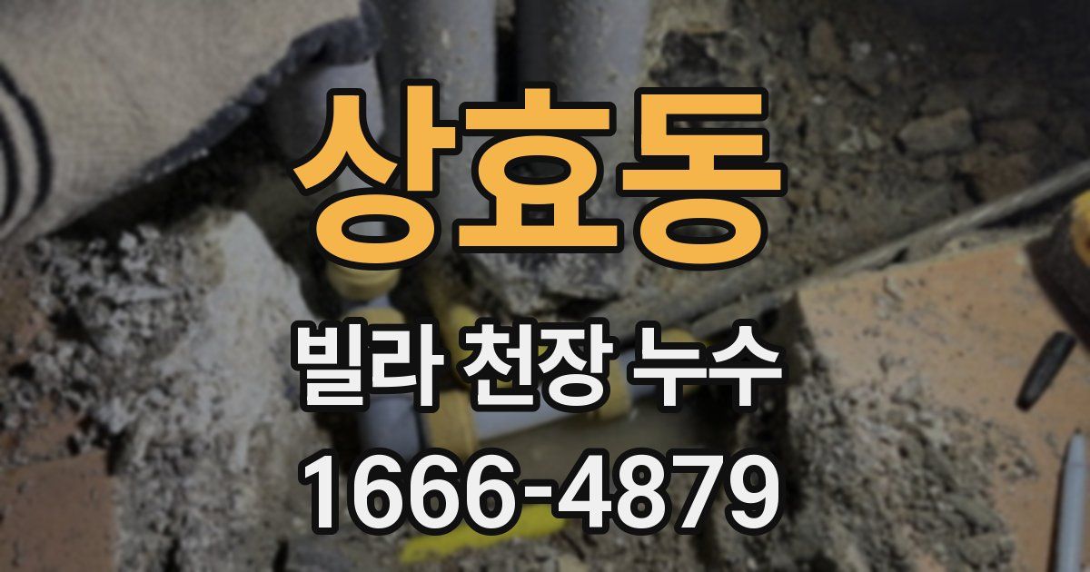상효동 빌라 천장 누수