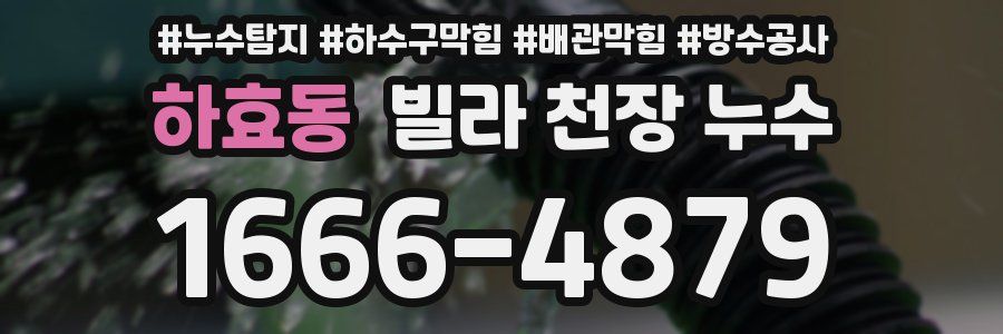 하효동 빌라 천장 누수