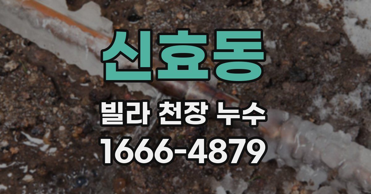 신효동 빌라 천장 누수