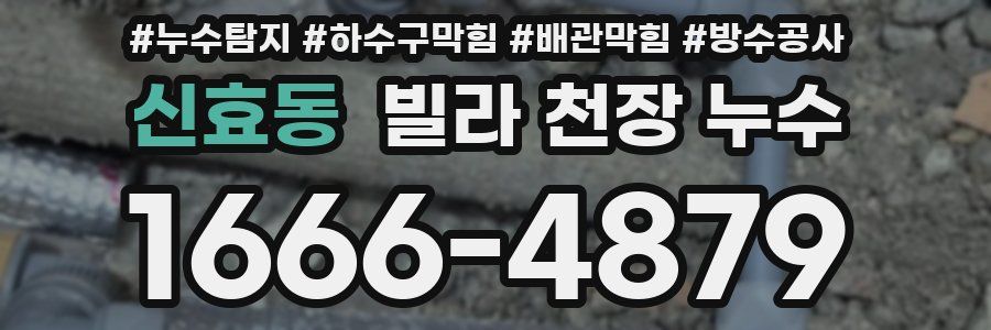 신효동 빌라 천장 누수