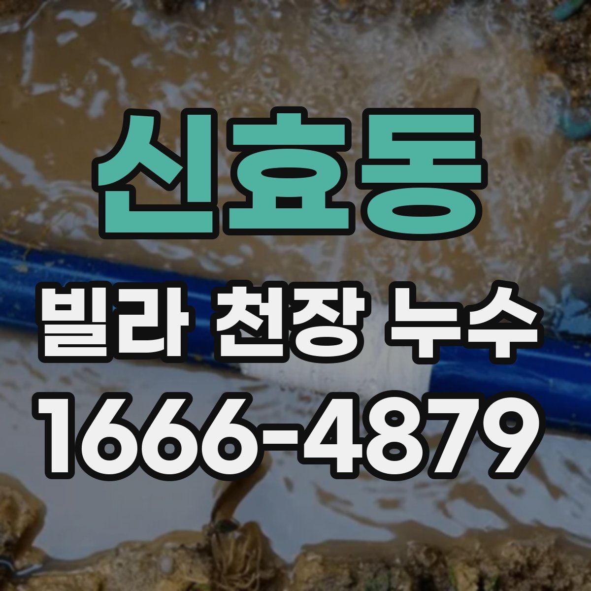 신효동 빌라 천장 누수