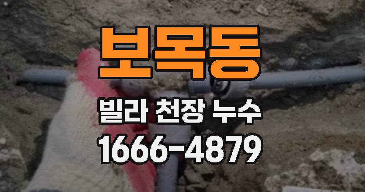 보목동 빌라 천장 누수