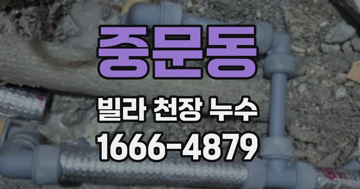 중문동 빌라 천장 누수