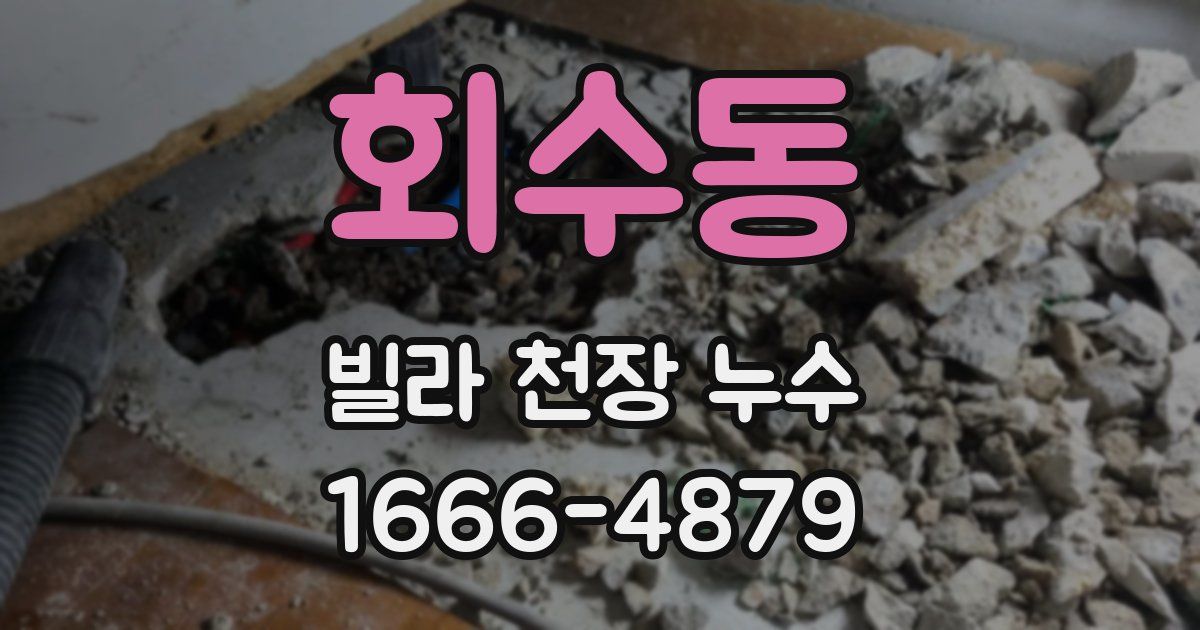 회수동 빌라 천장 누수