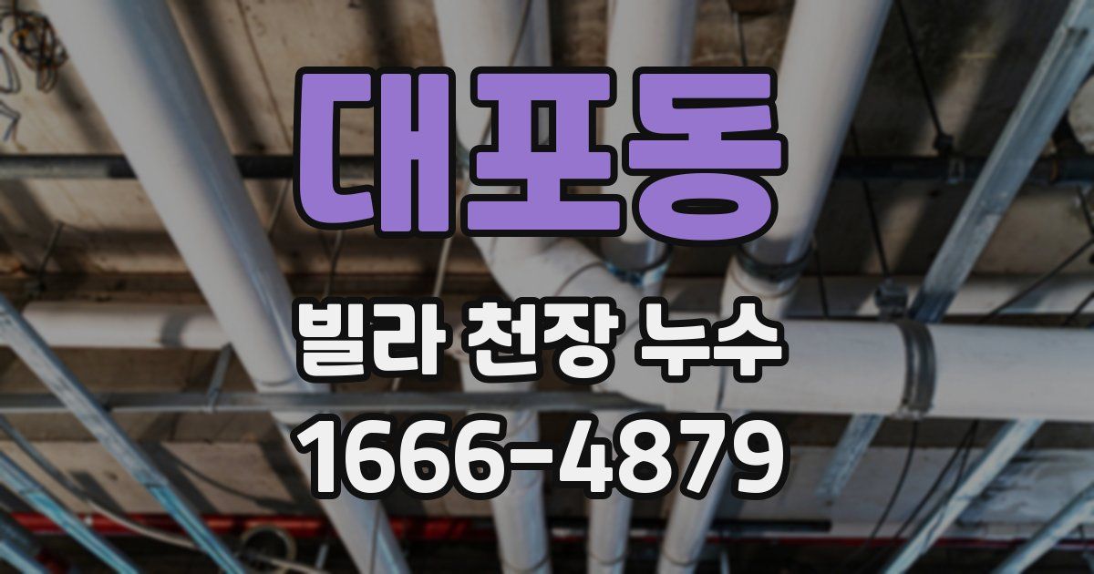 대포동 빌라 천장 누수