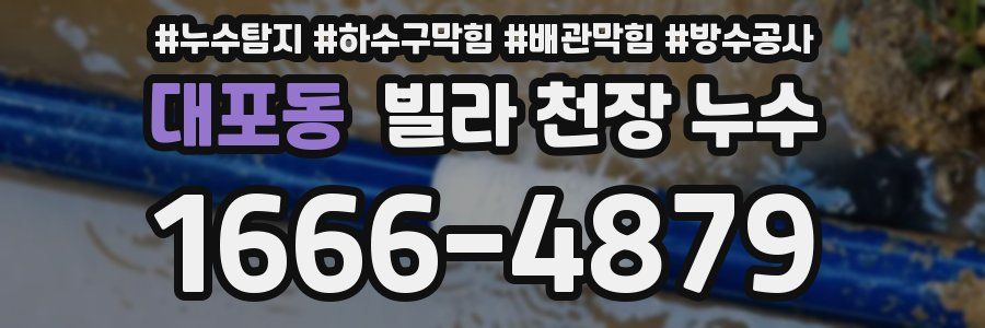 대포동 빌라 천장 누수