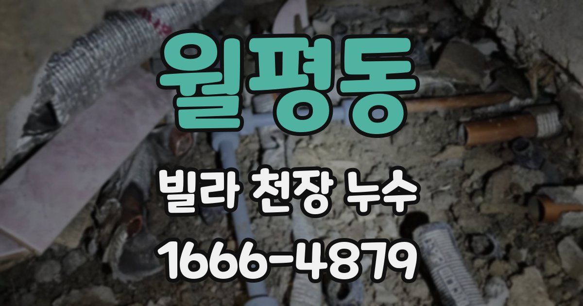 월평동 빌라 천장 누수