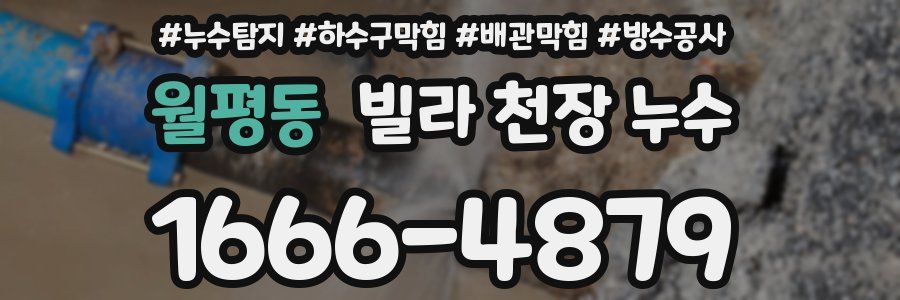 월평동 빌라 천장 누수