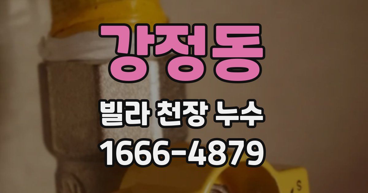 강정동 빌라 천장 누수