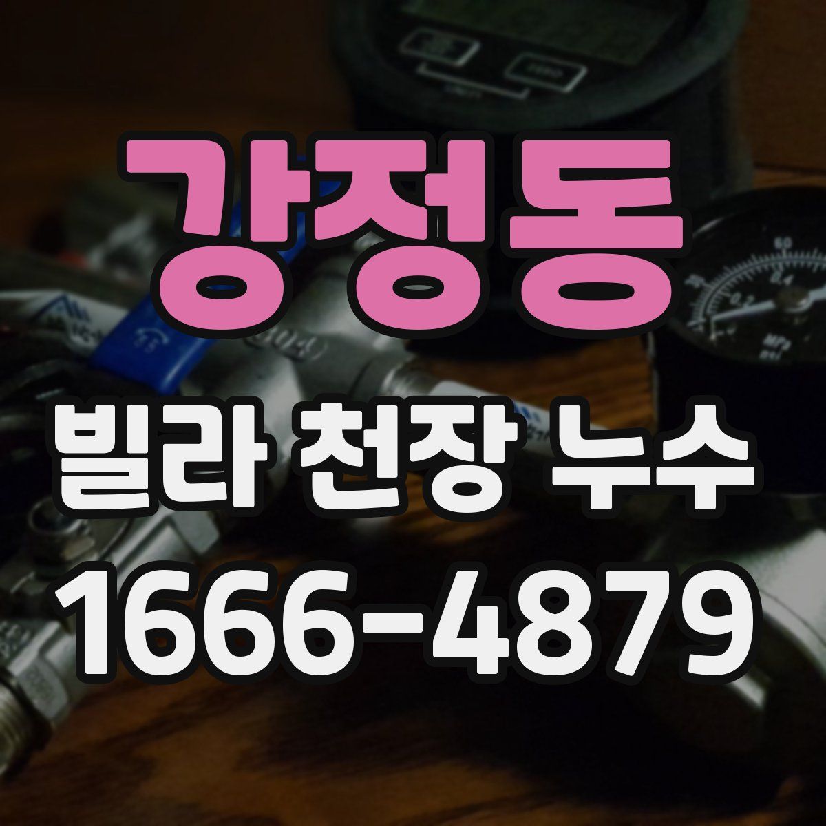 강정동 빌라 천장 누수
