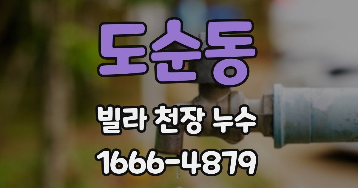 도순동 빌라 천장 누수