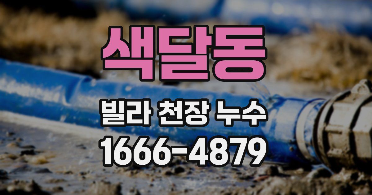 색달동 빌라 천장 누수