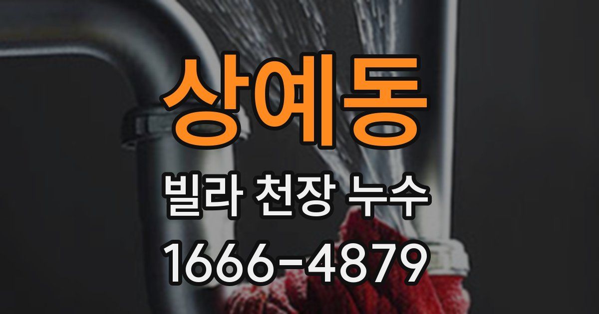 상예동 빌라 천장 누수