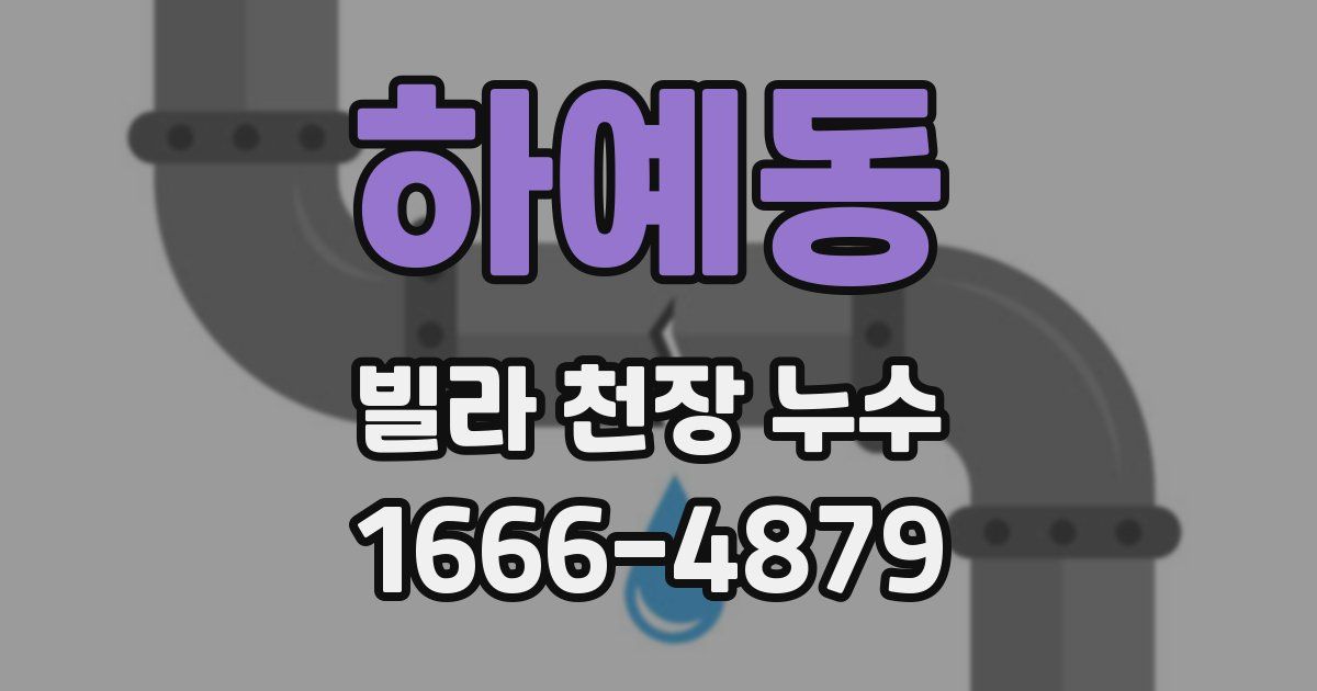 하예동 빌라 천장 누수