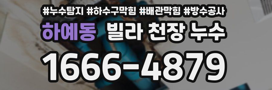하예동 빌라 천장 누수