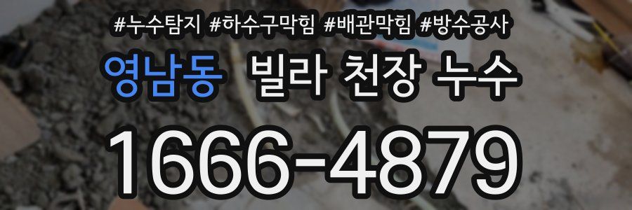 영남동 빌라 천장 누수