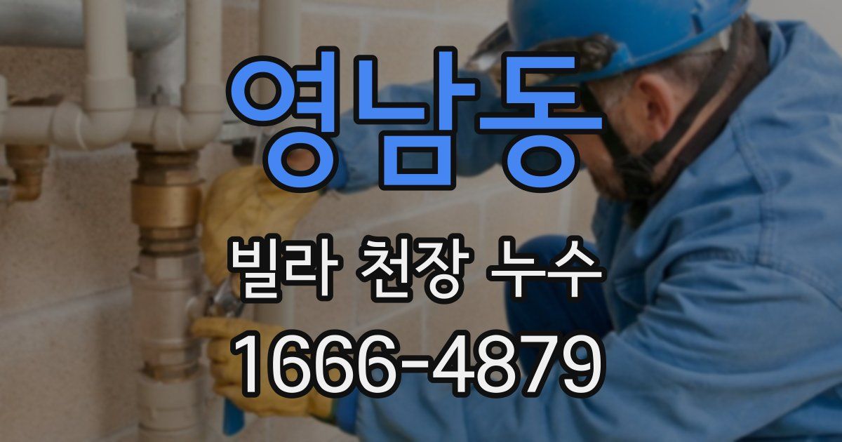 영남동 빌라 천장 누수