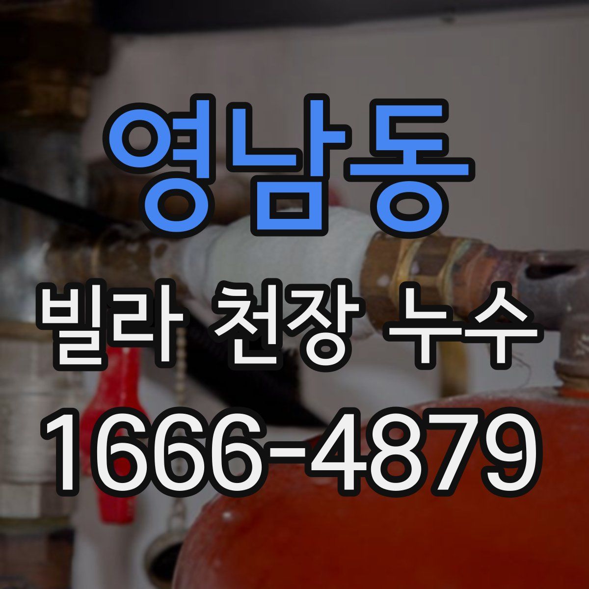영남동 빌라 천장 누수