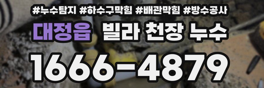 대정읍 빌라 천장 누수
