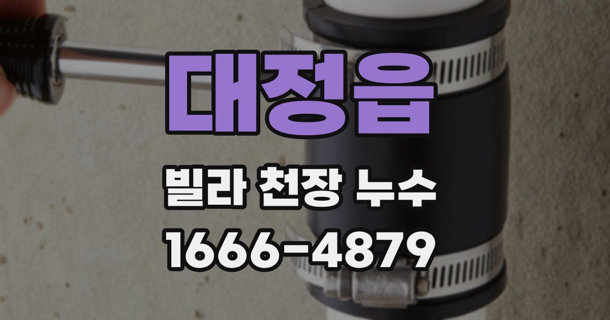 대정읍 빌라 천장 누수