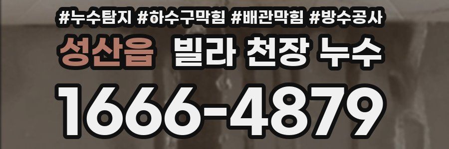 성산읍 빌라 천장 누수