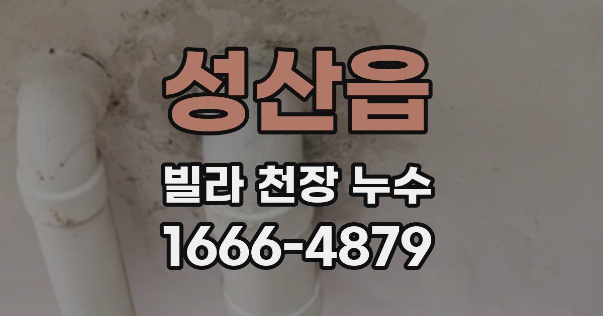 성산읍 빌라 천장 누수