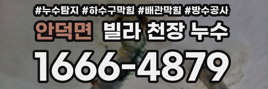 안덕면 빌라 천장 누수