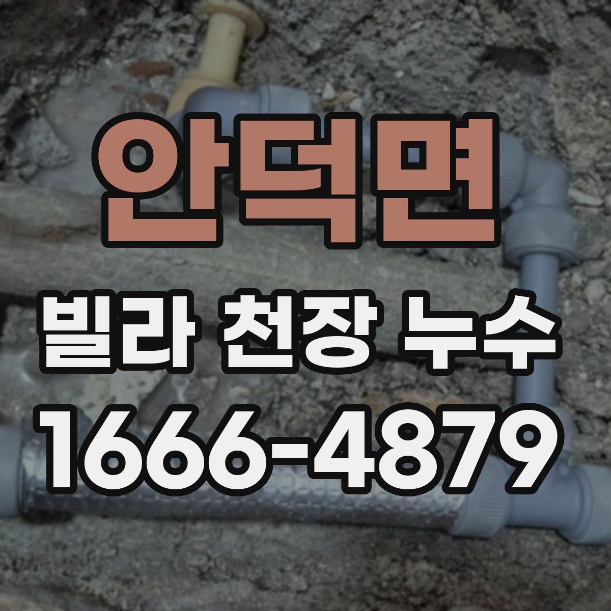 안덕면 빌라 천장 누수