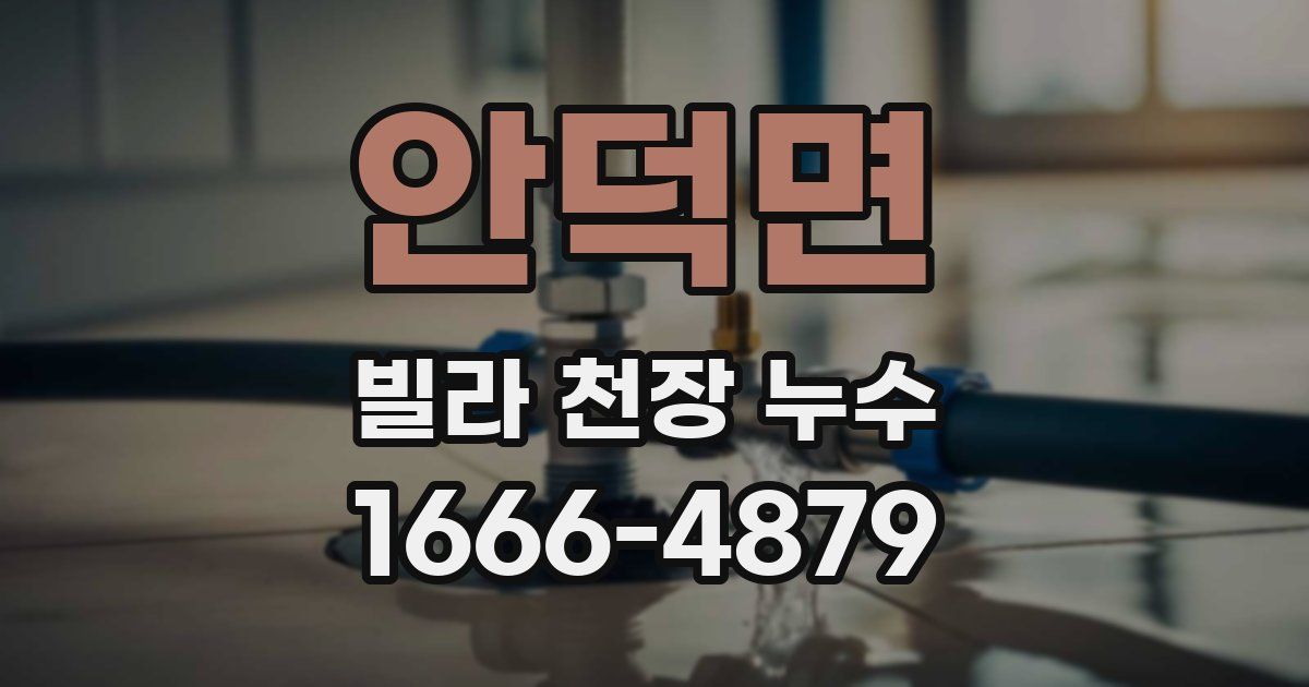 안덕면 빌라 천장 누수
