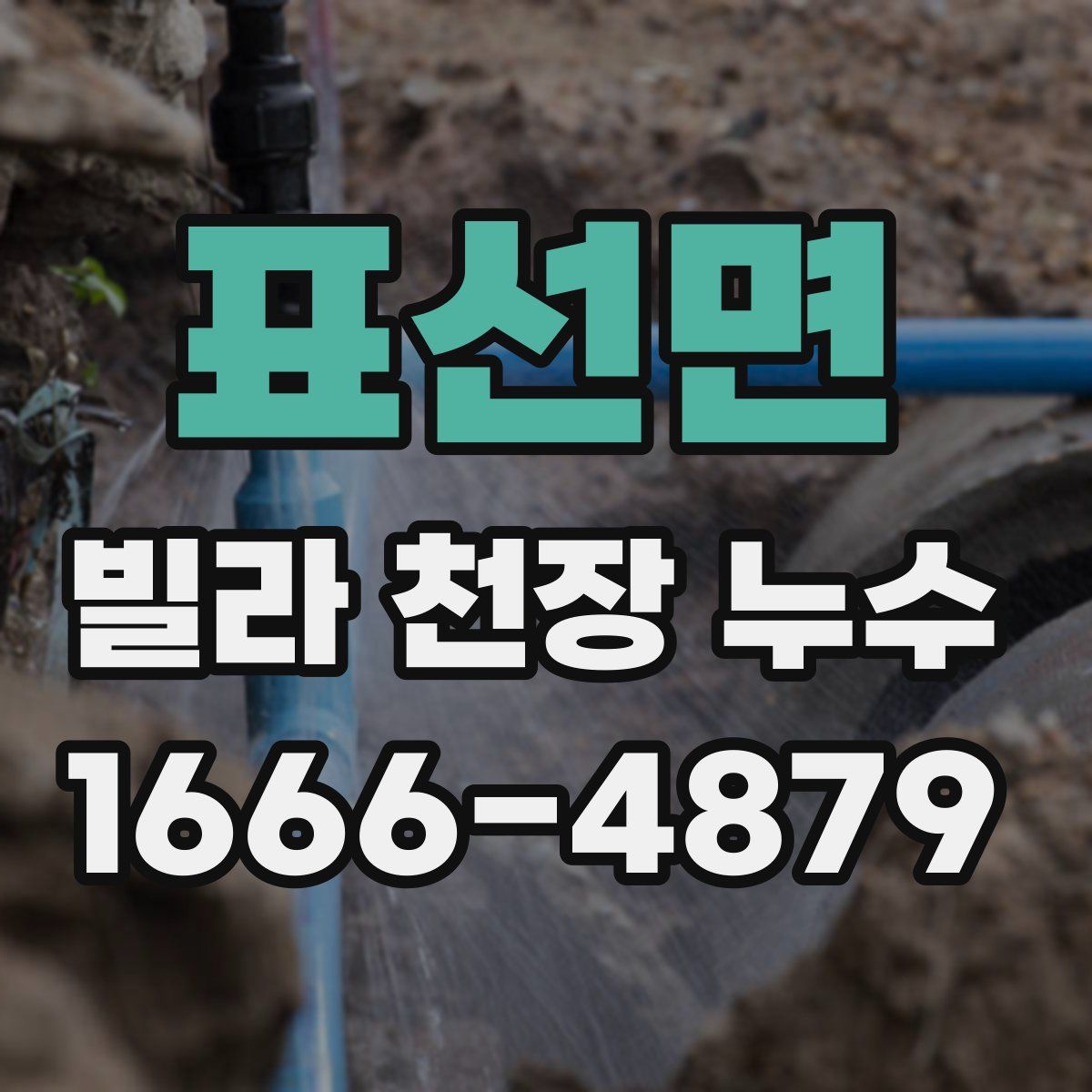 표선면 빌라 천장 누수