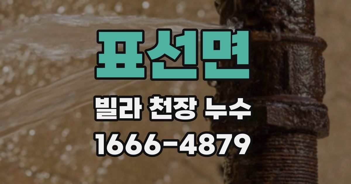표선면 빌라 천장 누수