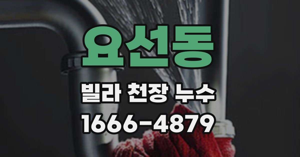 요선동 빌라 천장 누수