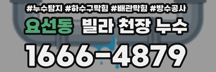 요선동 빌라 천장 누수