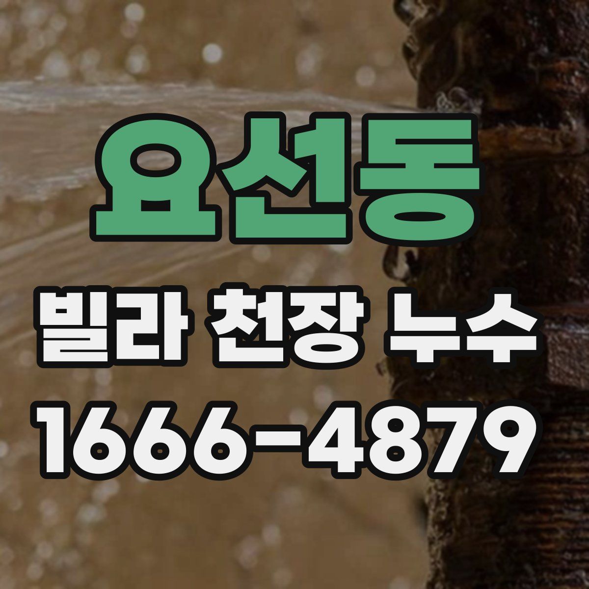 요선동 빌라 천장 누수