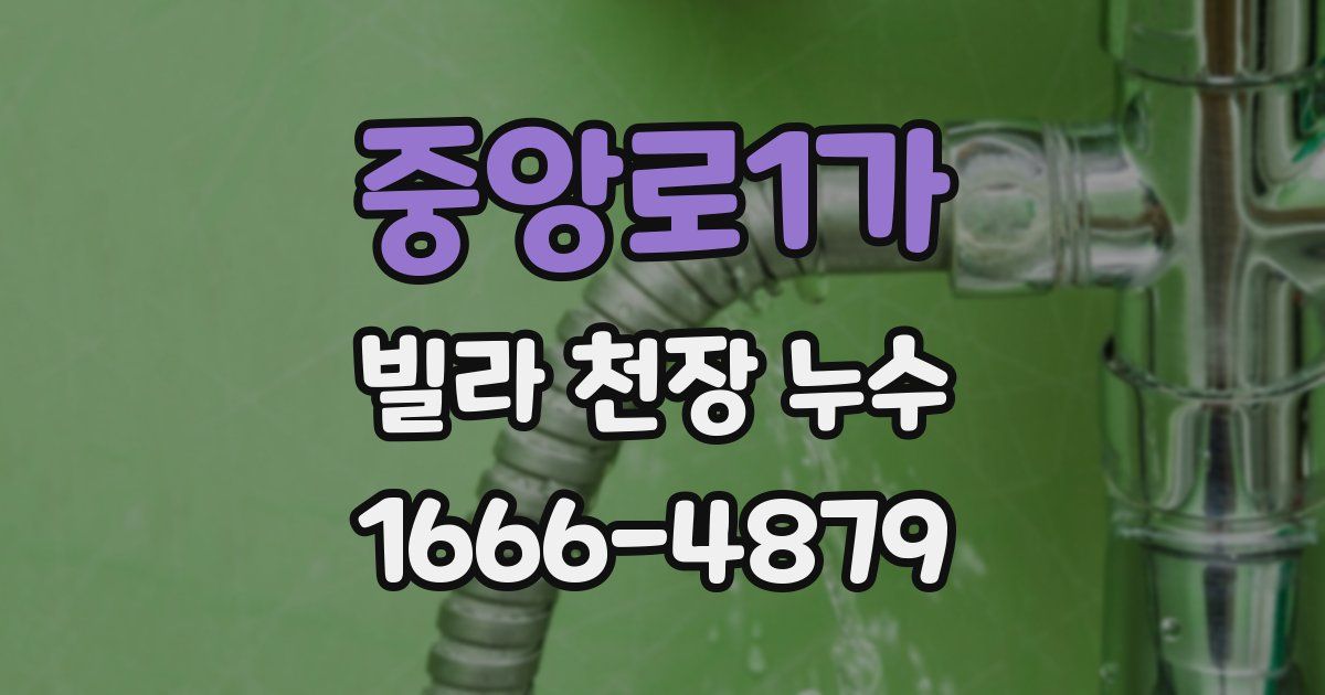 중앙로1가 빌라 천장 누수