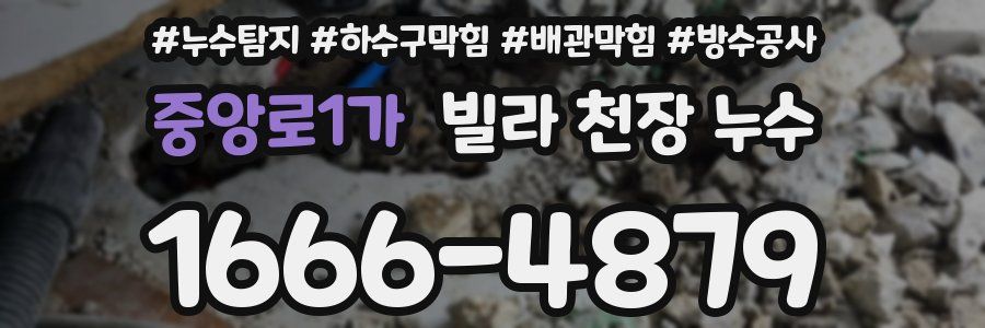 중앙로1가 빌라 천장 누수