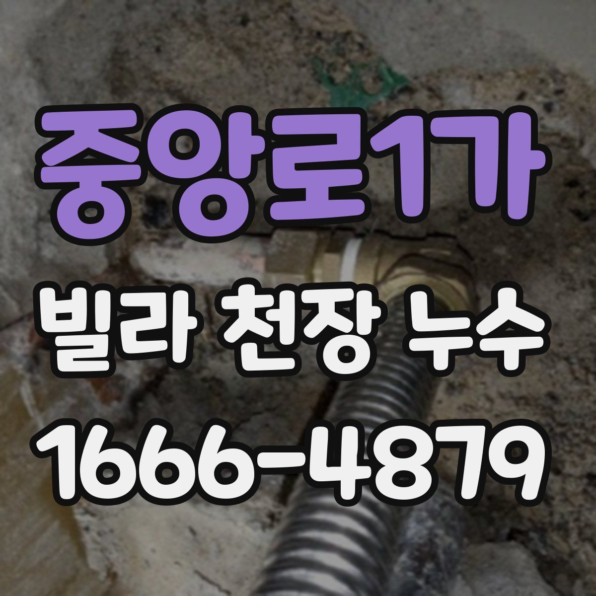 중앙로1가 빌라 천장 누수