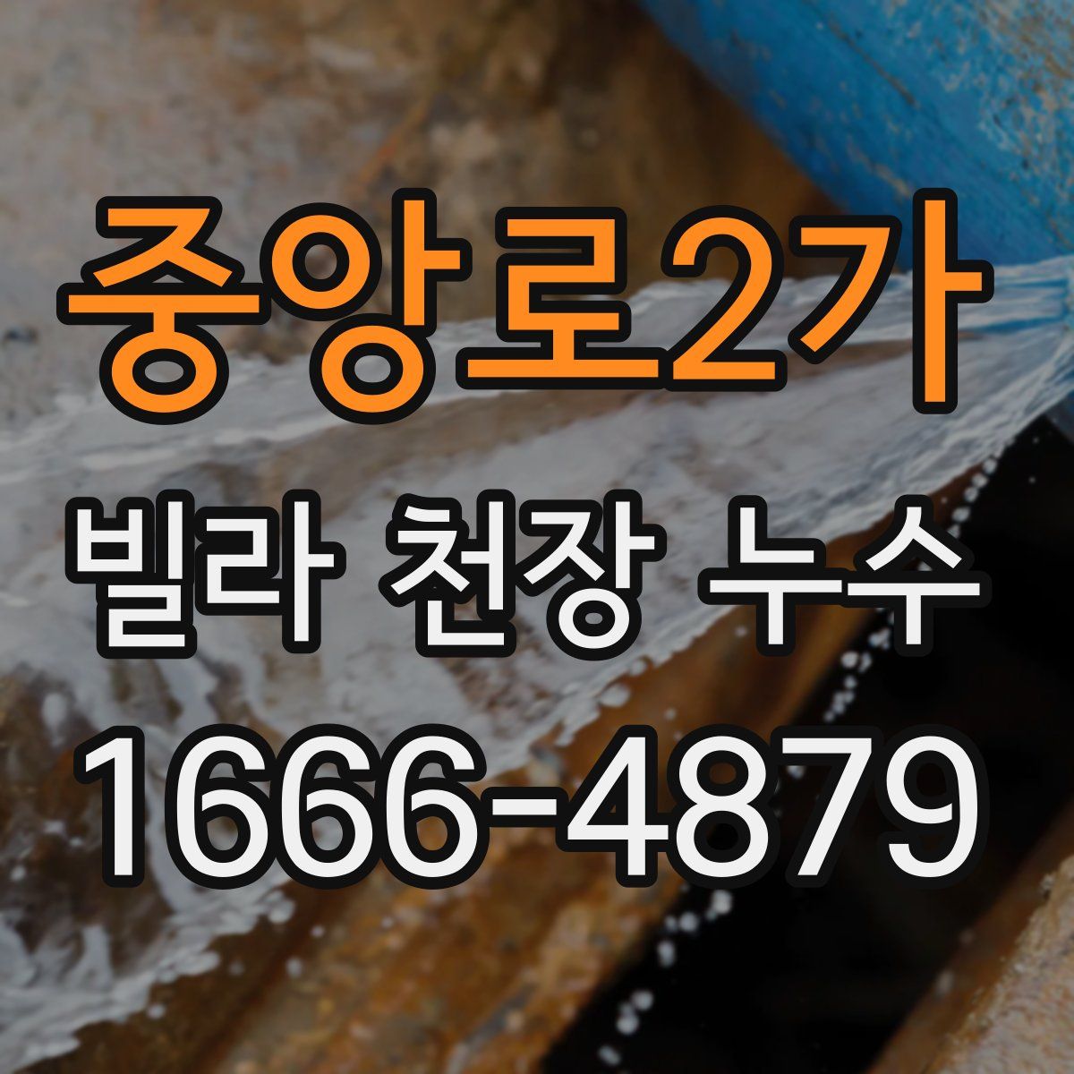 중앙로2가 빌라 천장 누수