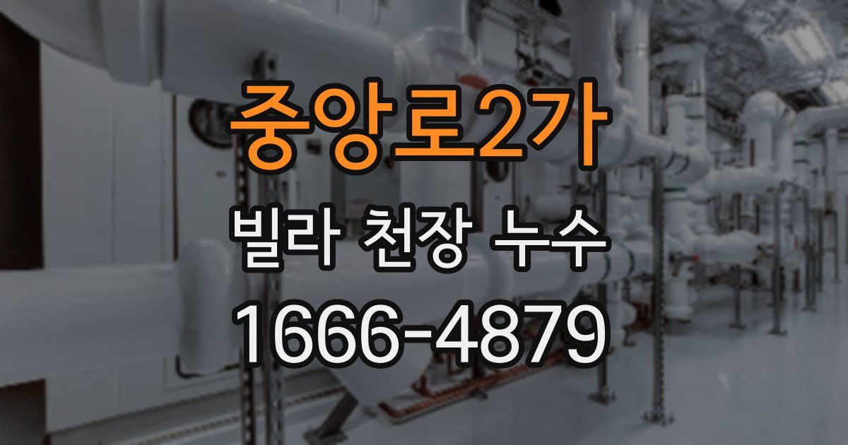중앙로2가 빌라 천장 누수