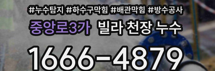 중앙로3가 빌라 천장 누수