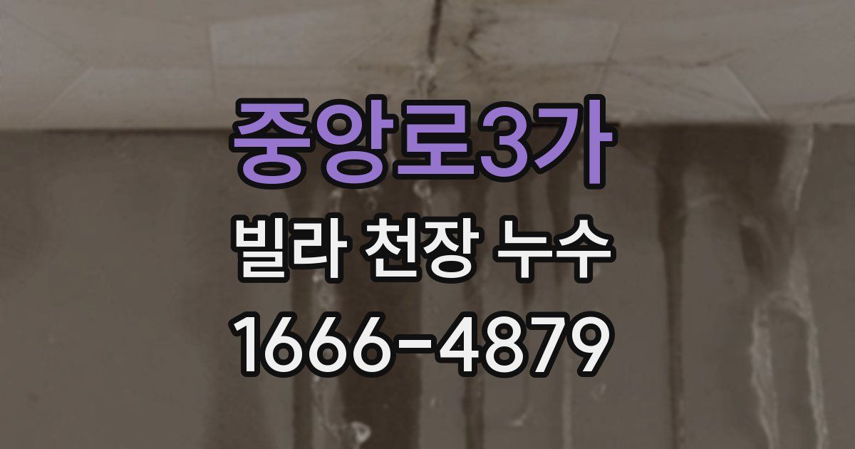 중앙로3가 빌라 천장 누수