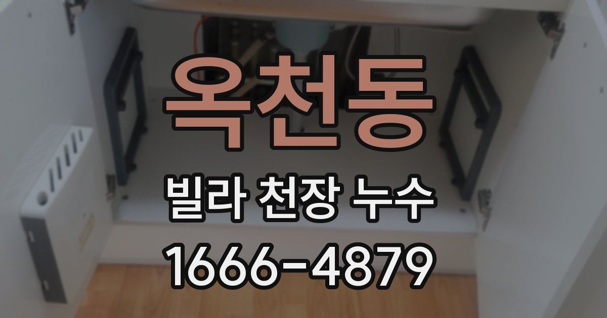 옥천동 빌라 천장 누수