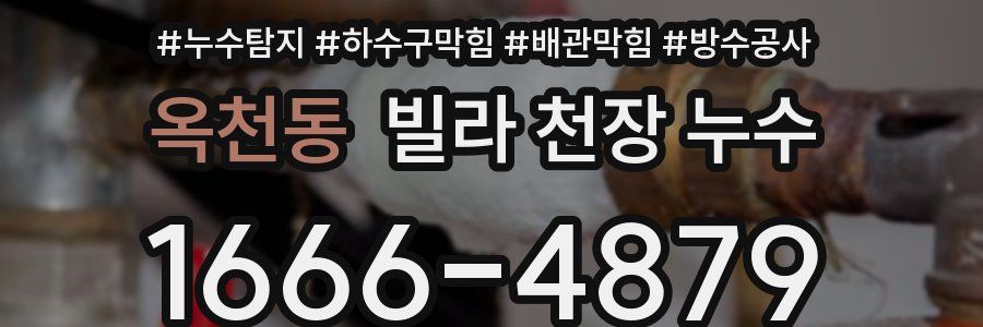 옥천동 빌라 천장 누수