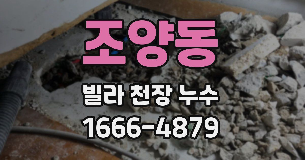 조양동 빌라 천장 누수