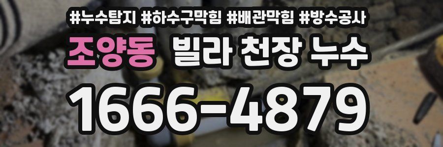 조양동 빌라 천장 누수